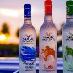 Magic Moments Vodka Price