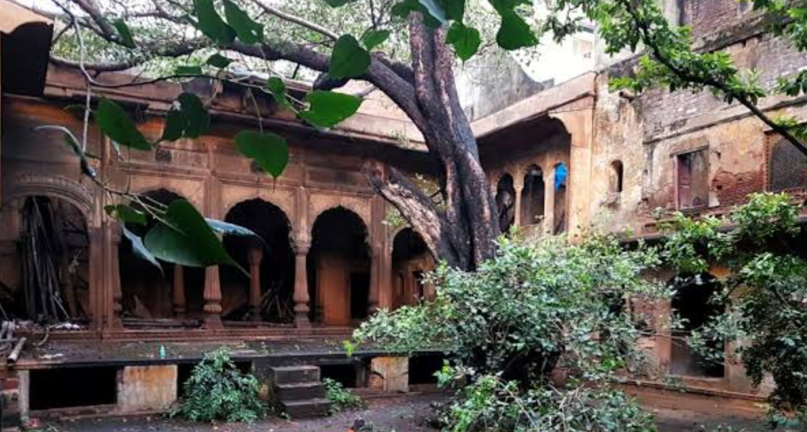 Reviving Delhi's Old Buildings